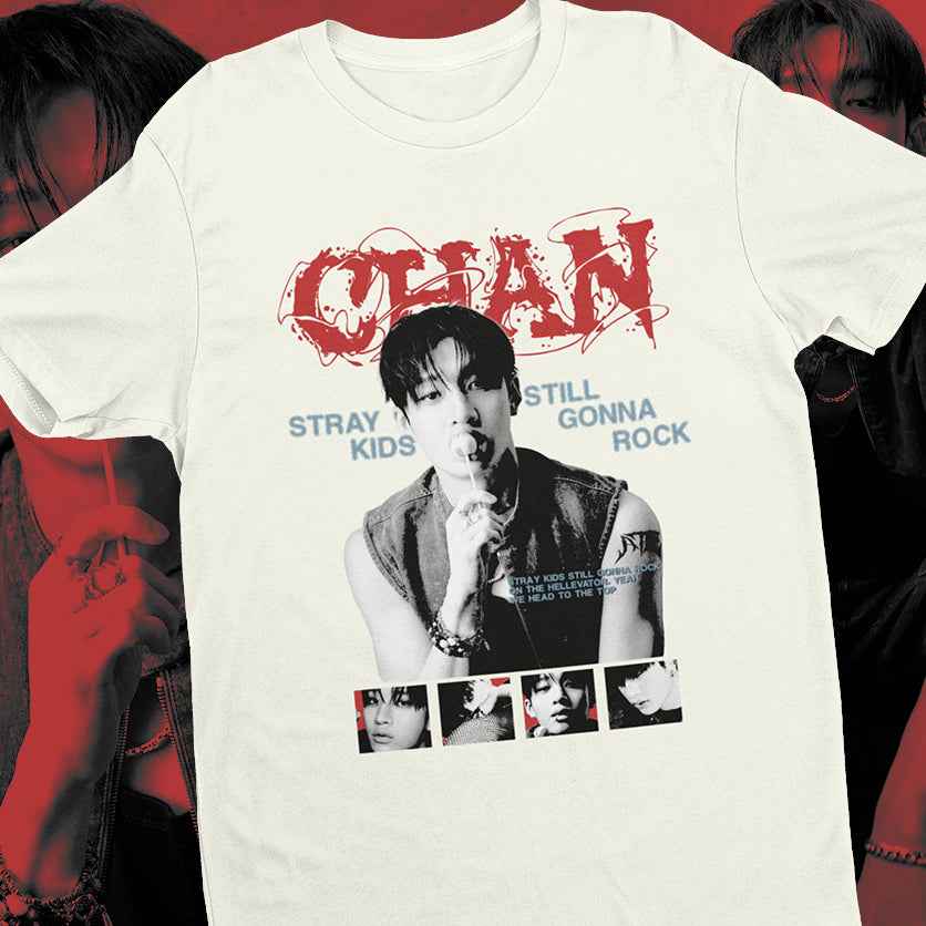 CAMISA BANG CHAN STRAY KIDS ATE - Loja Bee Fancy