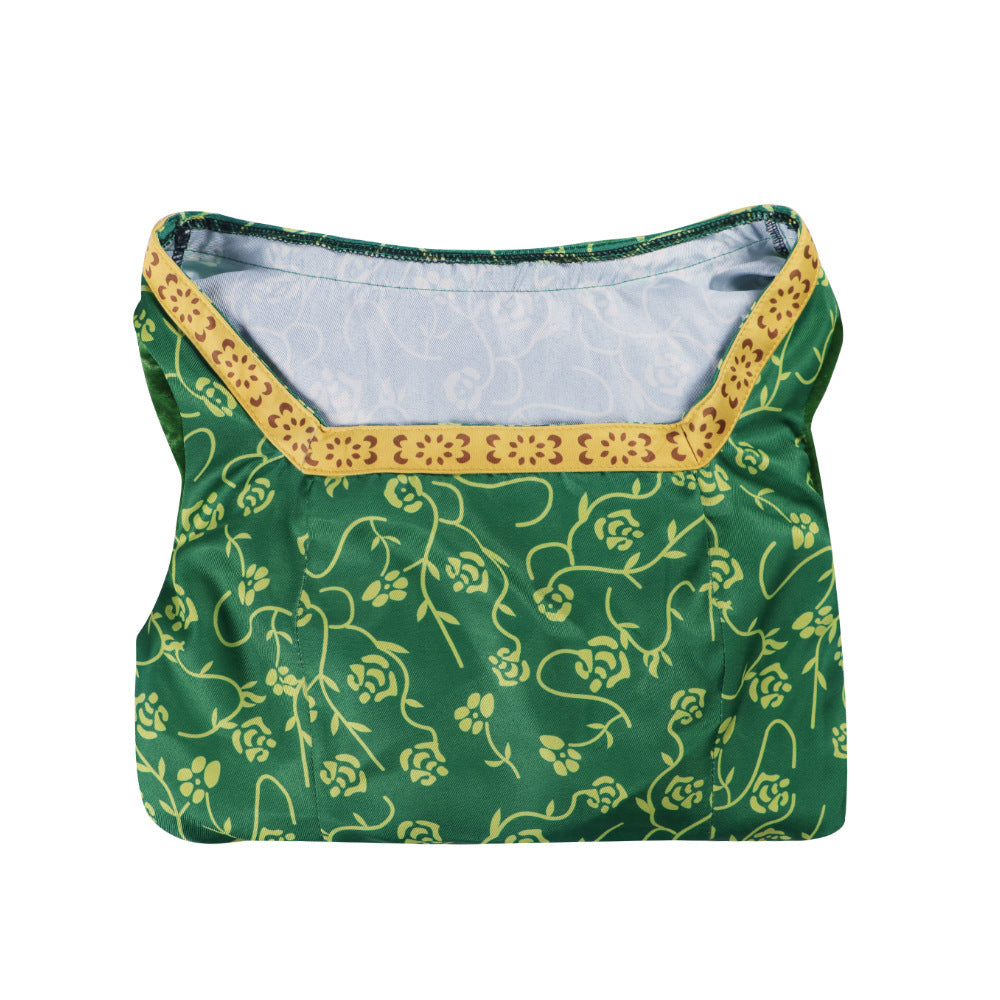 Fantasia Fiona Shrek - Loja Bee Fancy